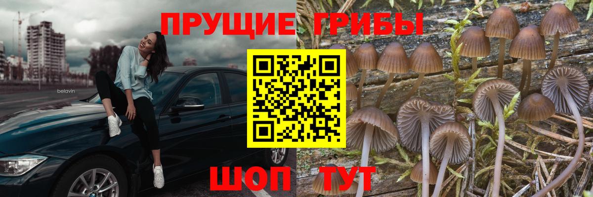 Псилоцибиновые грибы ЛСД Владикавказ